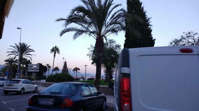 Alma Libre