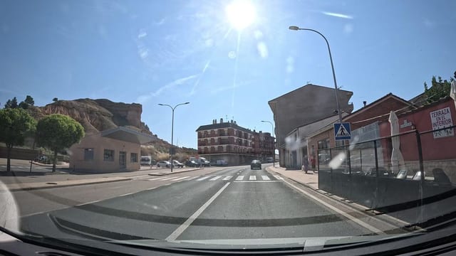 Perdiguero