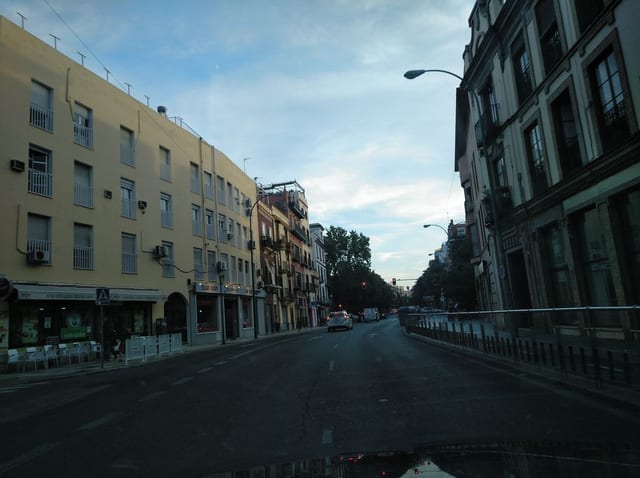Café Bar Palomo