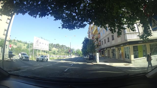 Los Claveles