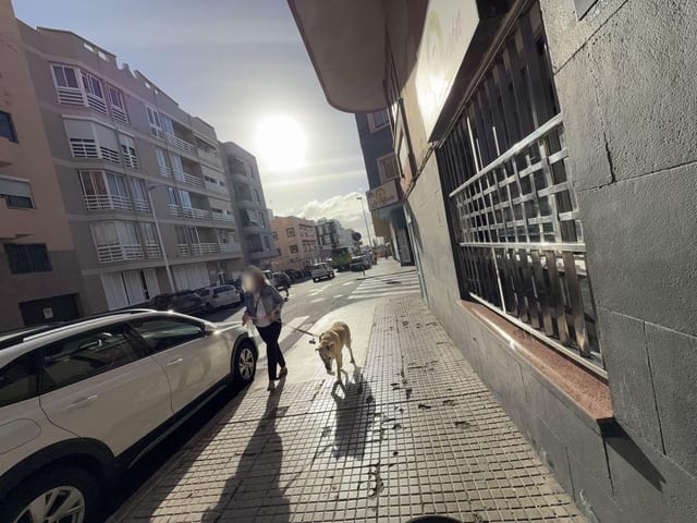 Queimada