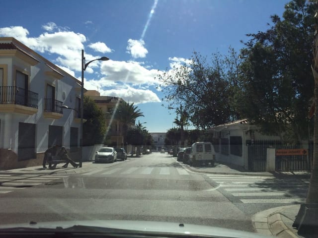 Bar d'abajo