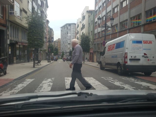 Bichos y Dichos