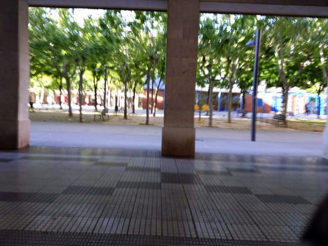 Liceo