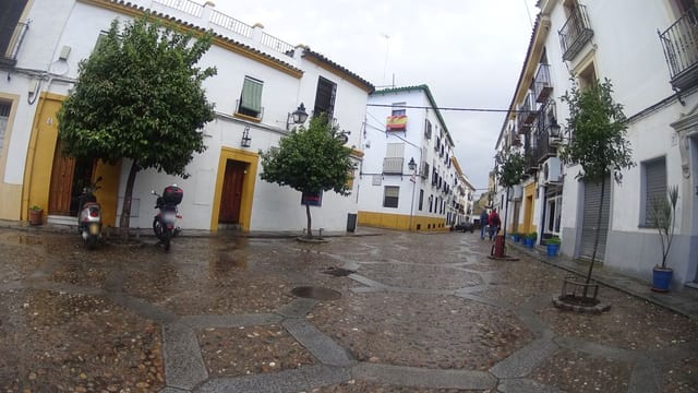 Taberna La Viuda