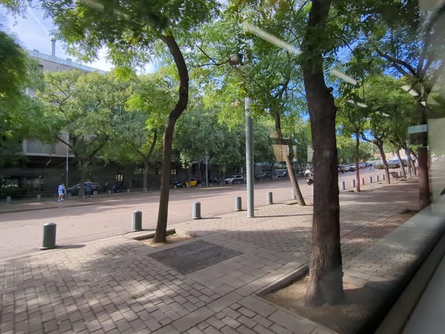 5o pino