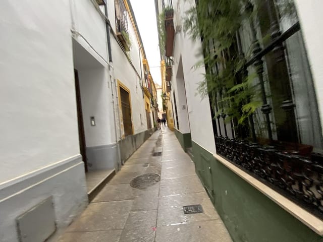 El Campeón
