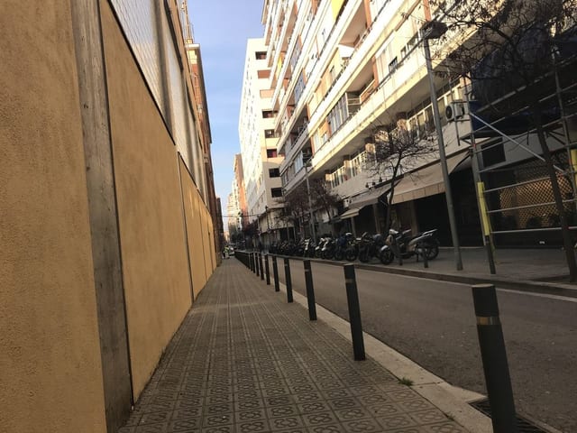 365