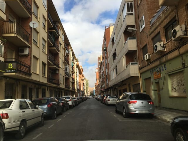 Álamo