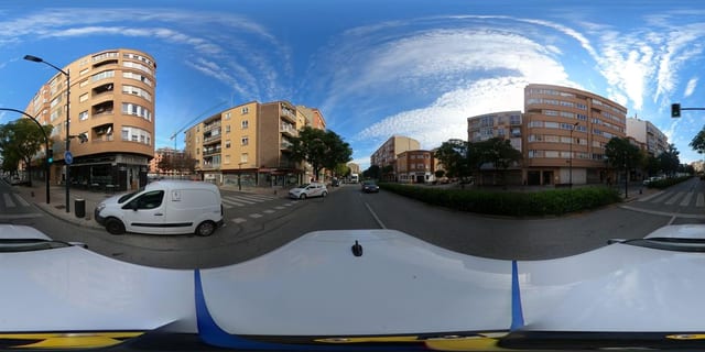 Pata Negra