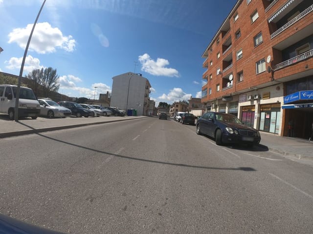 Paralex
