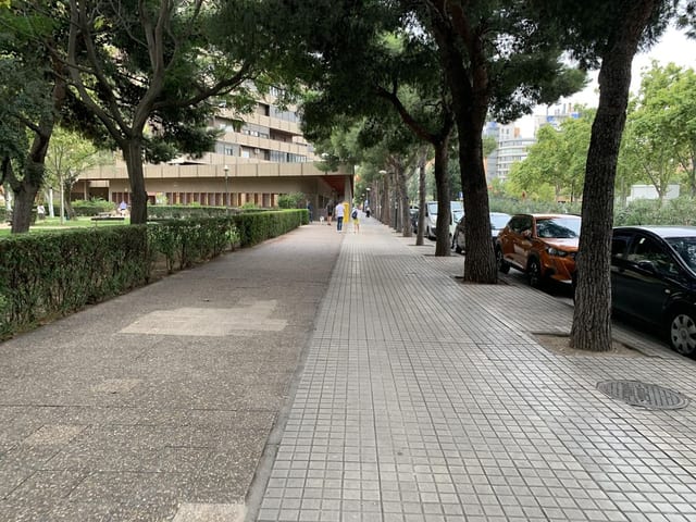 Overpani