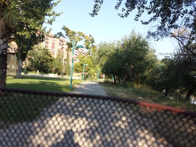 Macanaz
