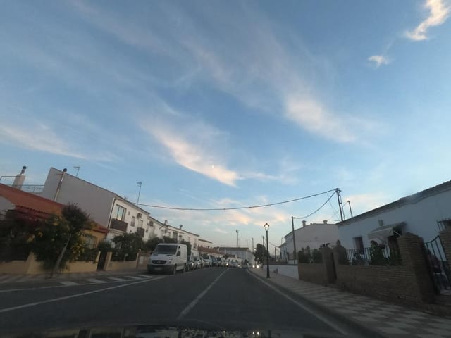 Bar Nuevo