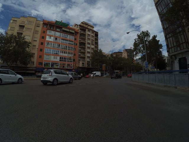 Vivo pan