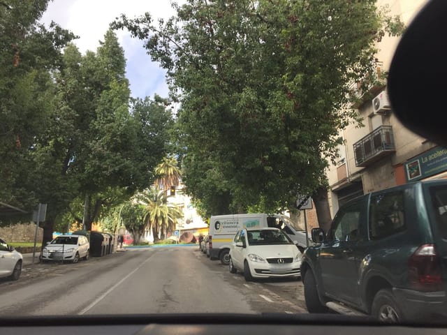 La Palmera