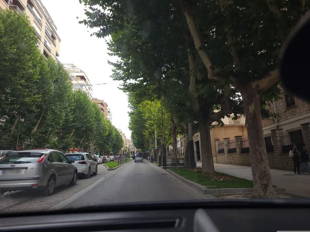Montelado