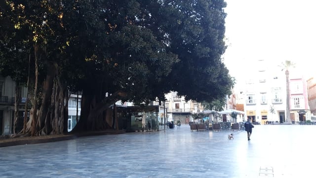 La Glorieta 470