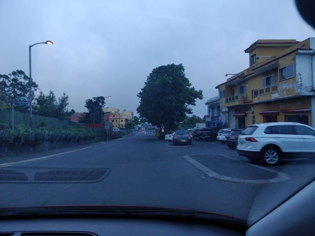 El Cedro