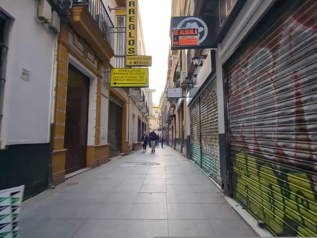 Don Divino