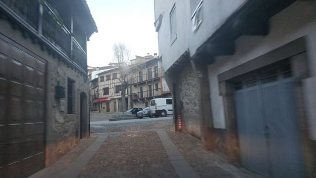 Las Palmeras