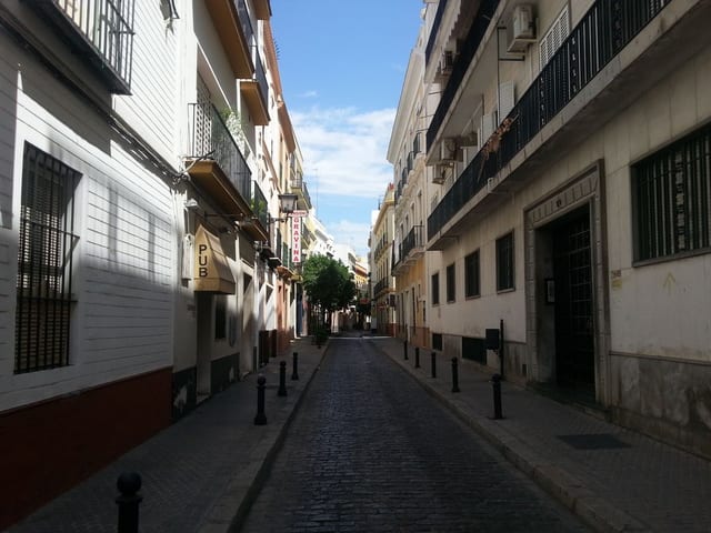 Zucchero