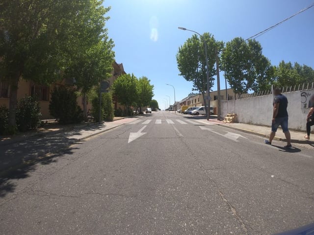 Bar Segis