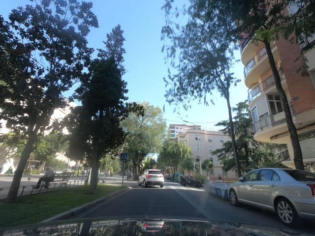 Los Alféreces