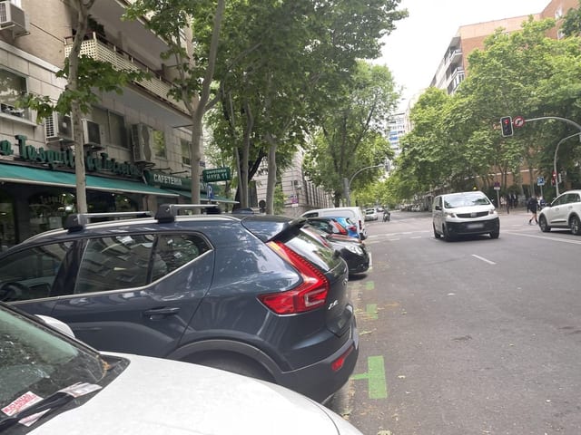Cafetería Haya 11