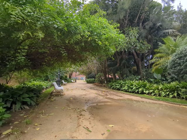 Bar del Parque