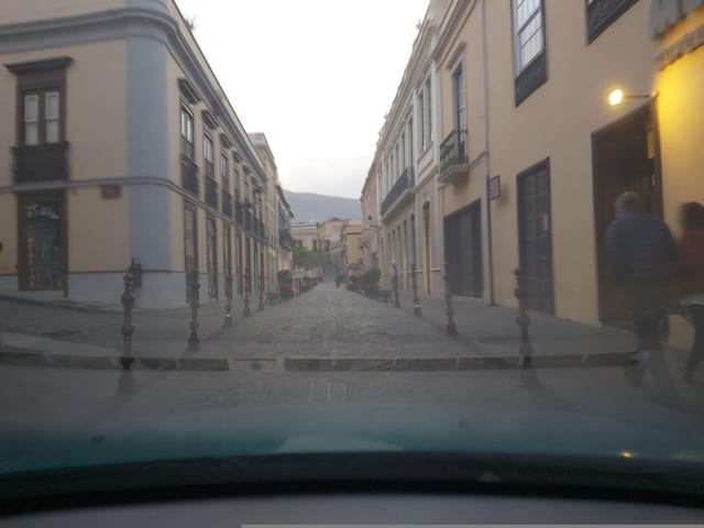 El Paladar