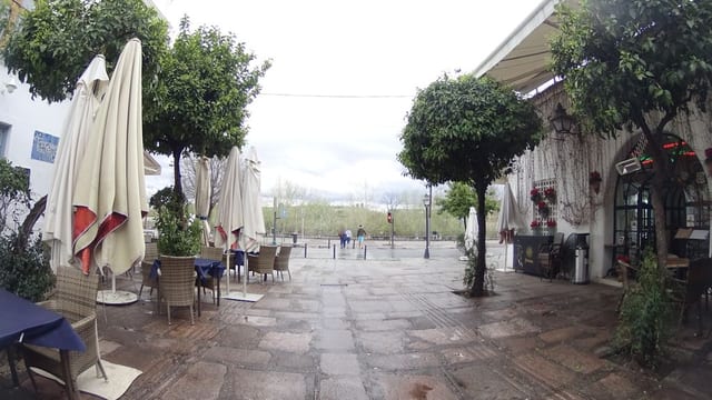 Amapola