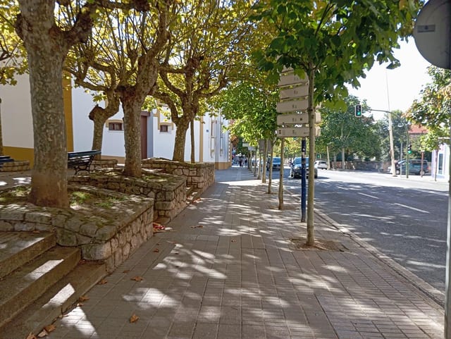 Bar Cuatro Caminos