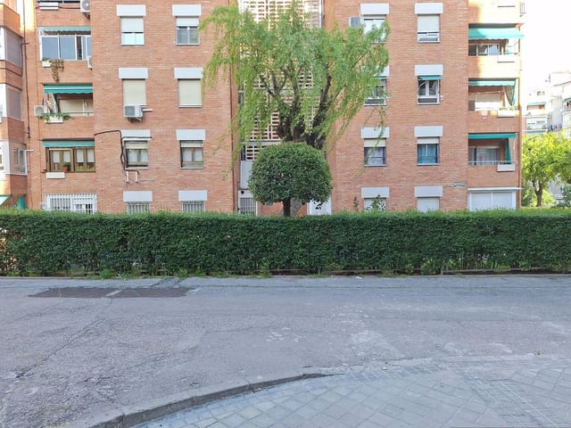 La Bombonera