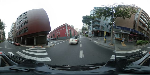 La biznaga Málaga
