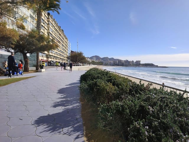 Poniente Beach