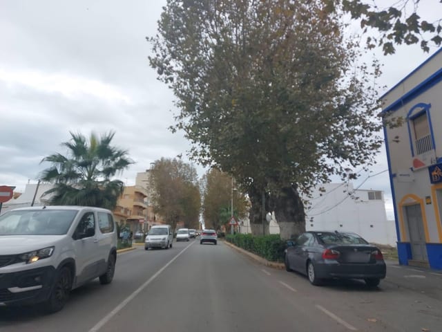 Avanti