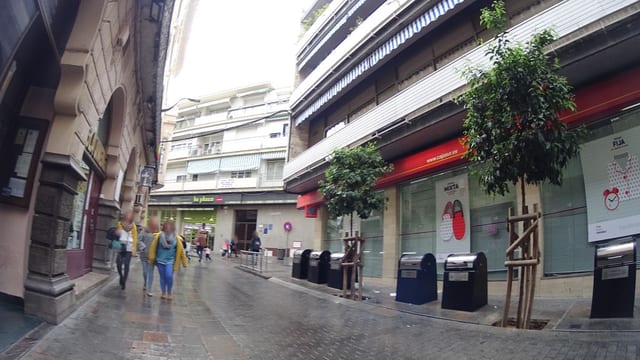 Casa Tollin