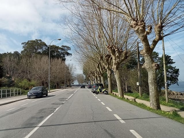 A Lúa
