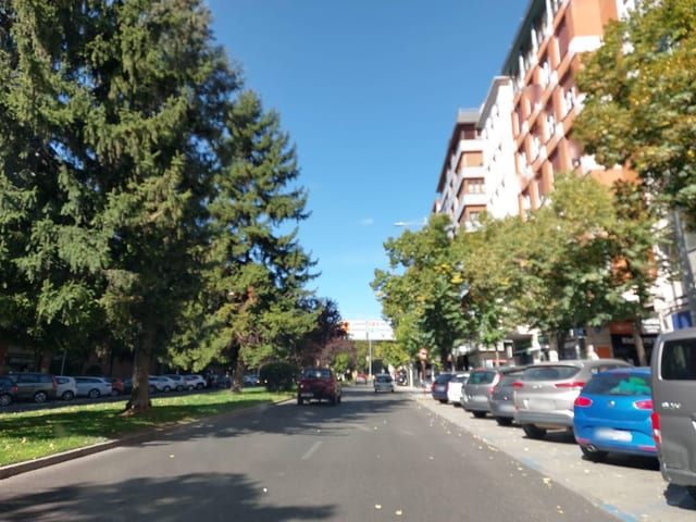 Rivera 13