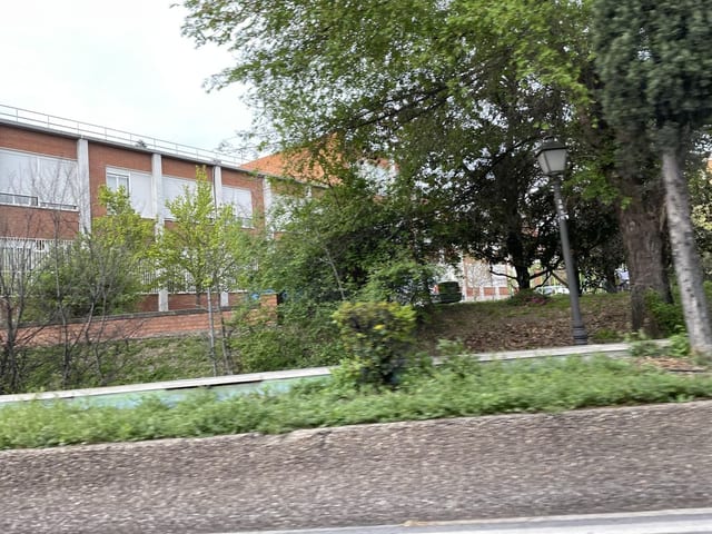 Cafetería