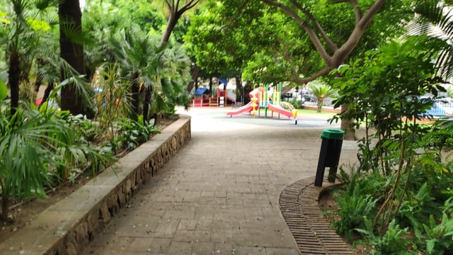 Oasis
