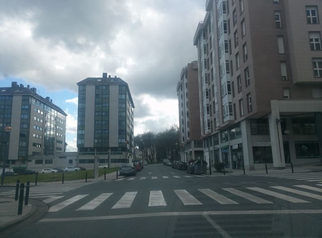Acebo
