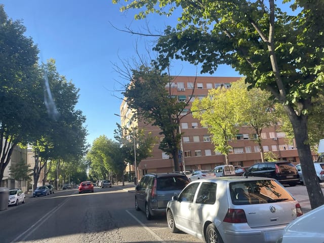 El bahía