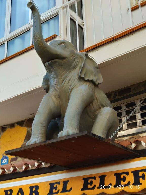 Bar Populair