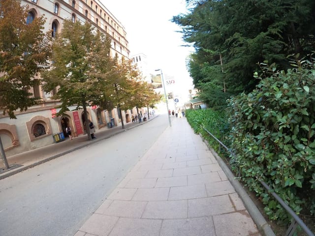 Bar de la Plaça