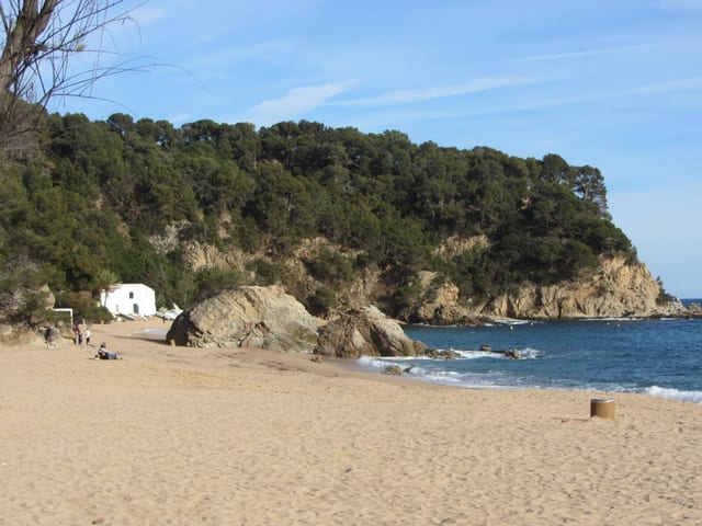 Beach Bar