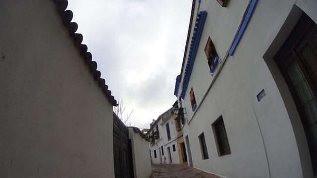 Zumeria El Arbolito