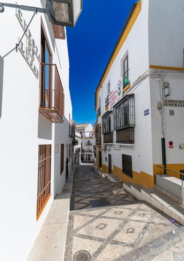 La Libélula