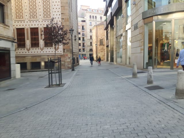 La Colectiva